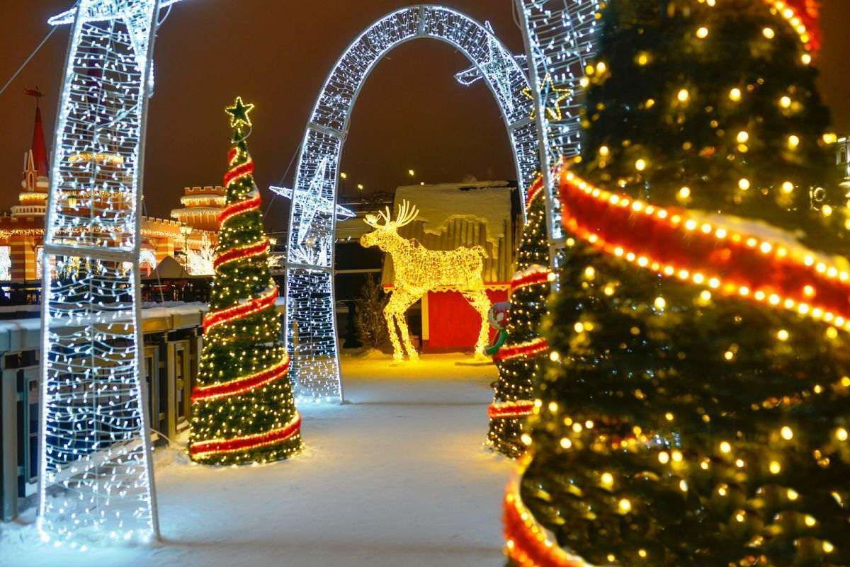 Тайны сказочного леса - 6 дней для Спб (03.01 - 08.01.2021)